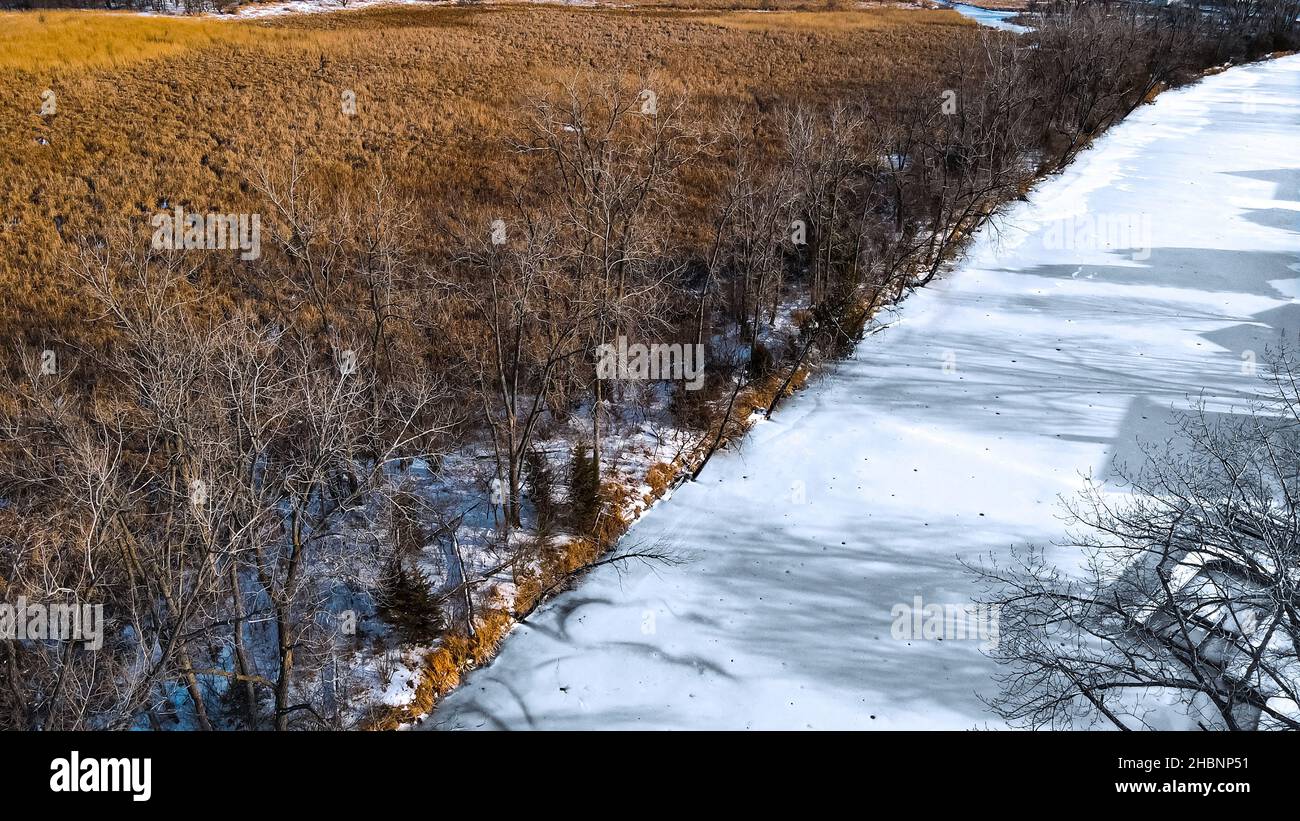 Vibrant meadow right next to frozen river in Winneconne Wisconsin US after a fresh snow fall. Golden yellow color. Taken in December 2021 Stock Photo