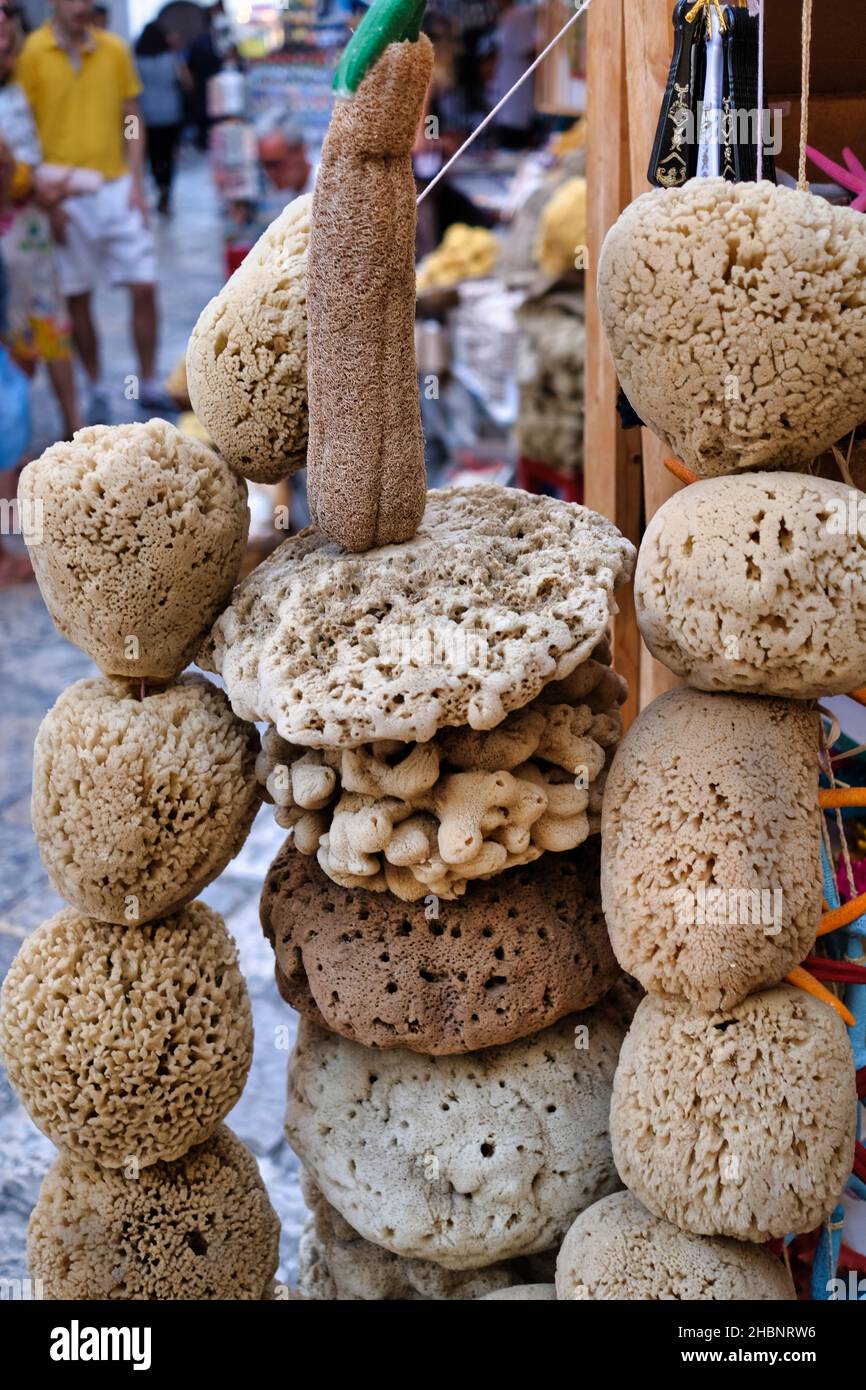 Display of Italian natural sponges, typical local products from Gallipoli, Puglia South Italy Stock Photo