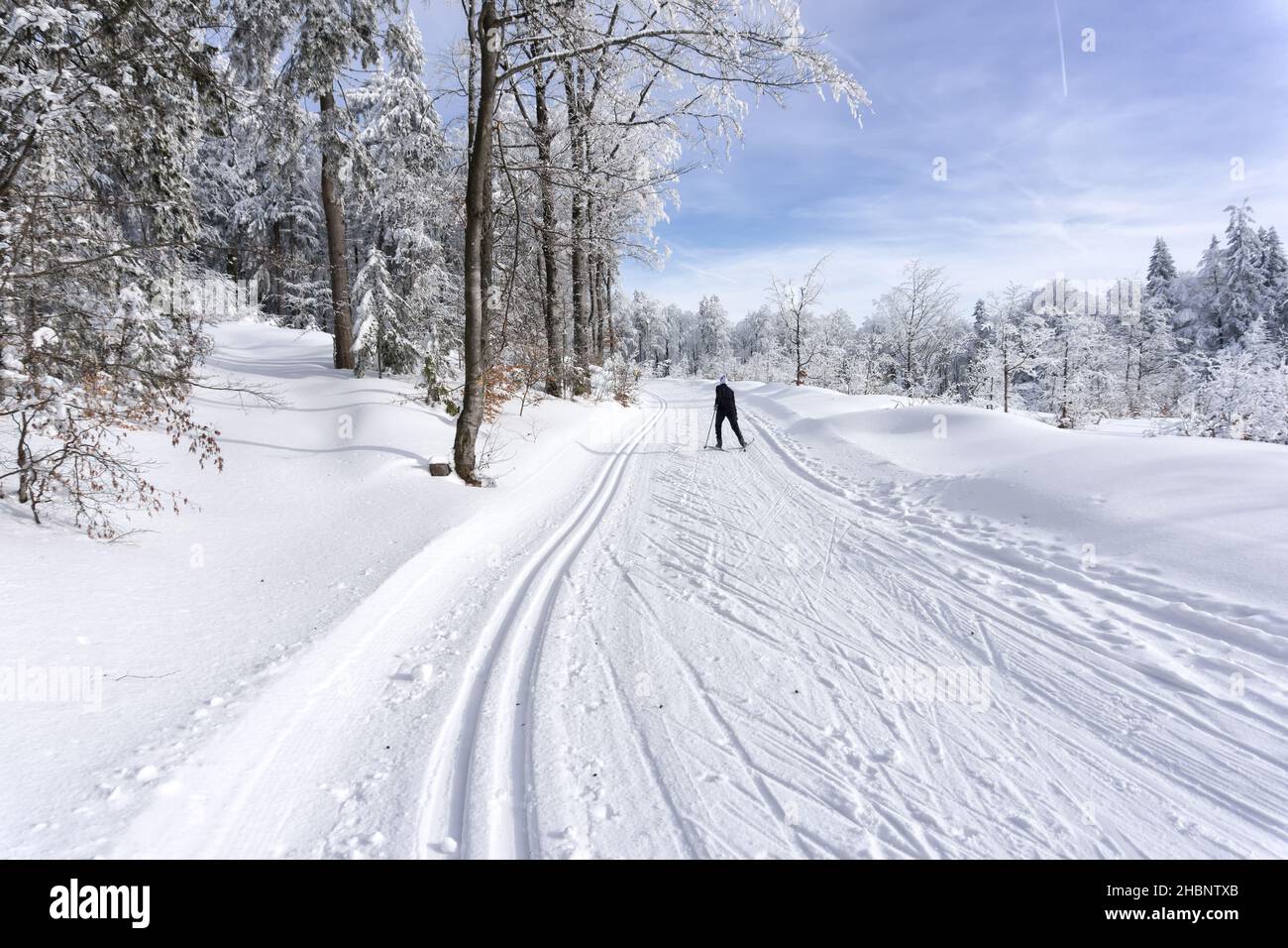 Cross-country skier running a groomed ski trail. Road in winter mountains, in sunny day. Trees covered with hoarfrost. Kremnica Mountains, Slovakia. Stock Photo