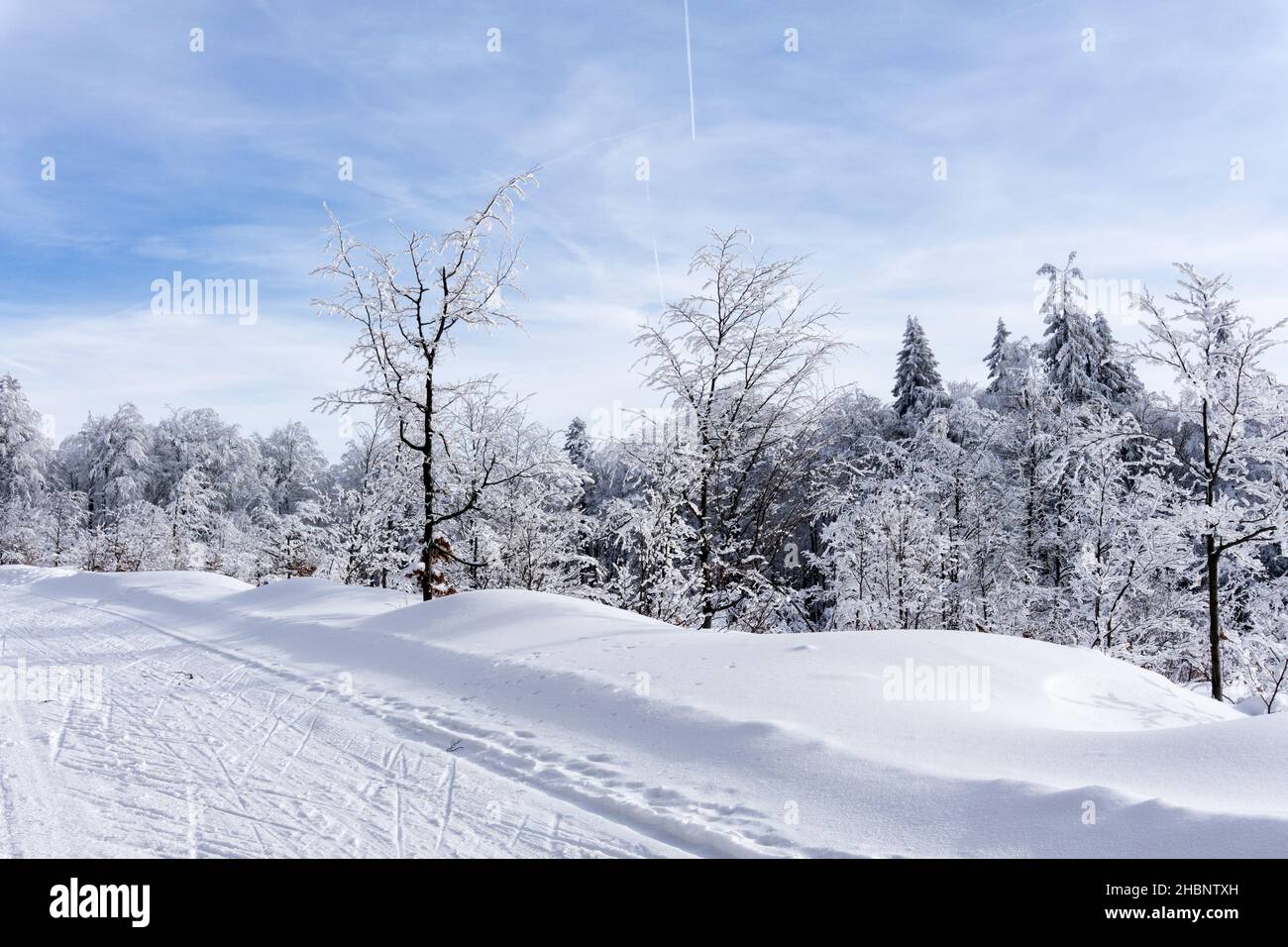 Winter mountain landscape. Cross-country skiing trail, trees covered with hoarfrost and snow, blue sky white clouds. Kremnica Mountains, Slovakia. Stock Photo