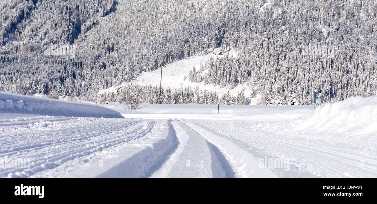 Cross-country skiing track close up, selective focus. Winter in Ehrwald Valley, Tirol, Austria, Europe. Stock Photo