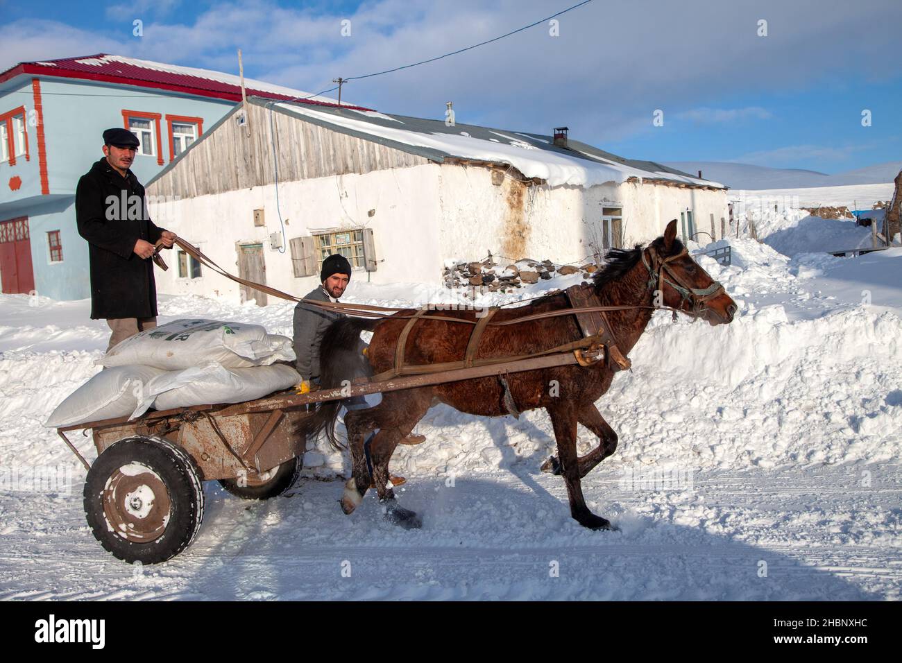 City snow horse carriage hi-res stock photography and images - Alamy