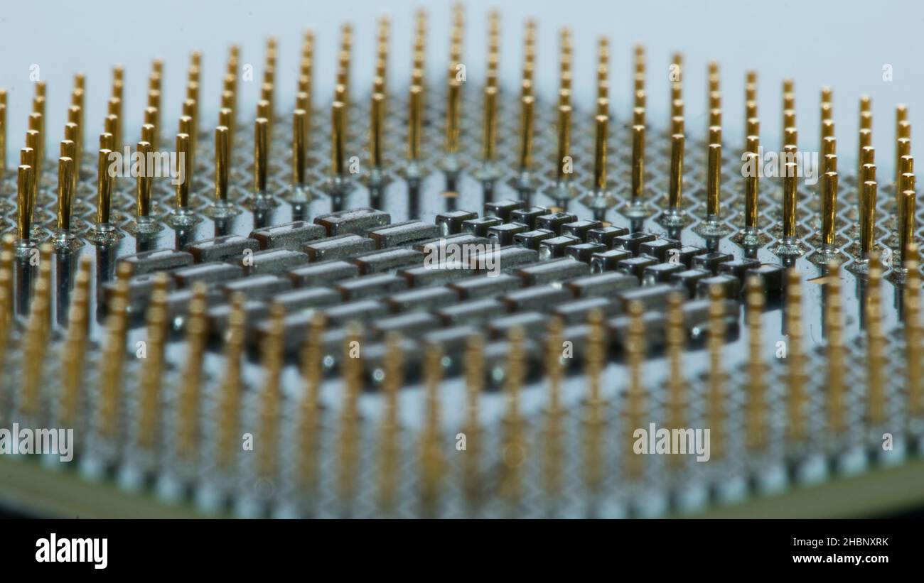 CPU Macro with Golden Pins Stock Photo