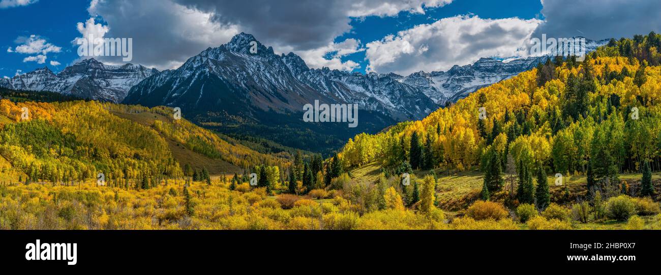 Mount Sneffels, Willow Swamp, Aspen, Populus Tremula, Dallas Divide, Uncompahgre National Forest, Colorado Stock Photo