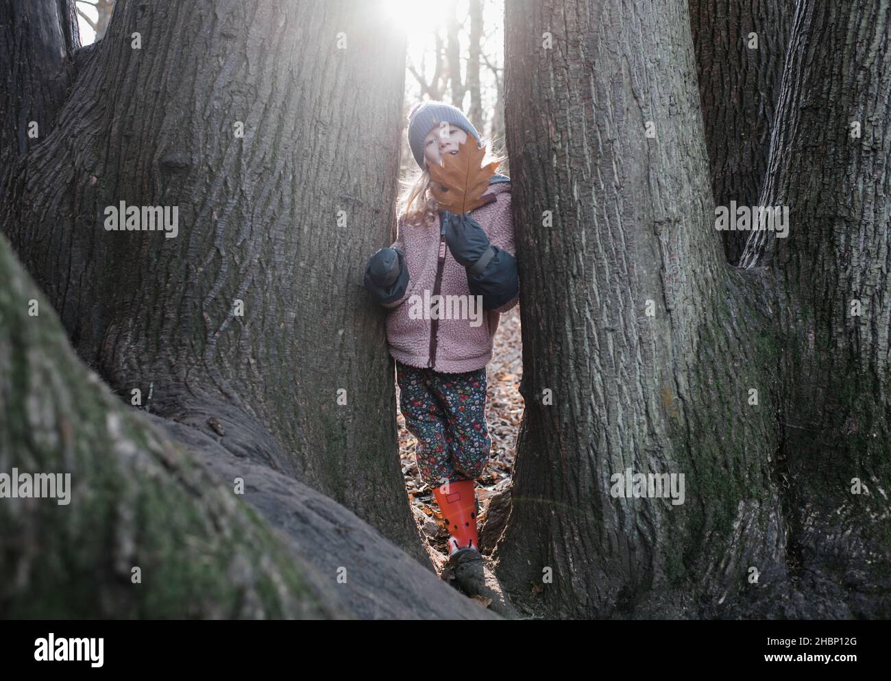 child playing in the trees with leaves in the golden light Stock Photo ...