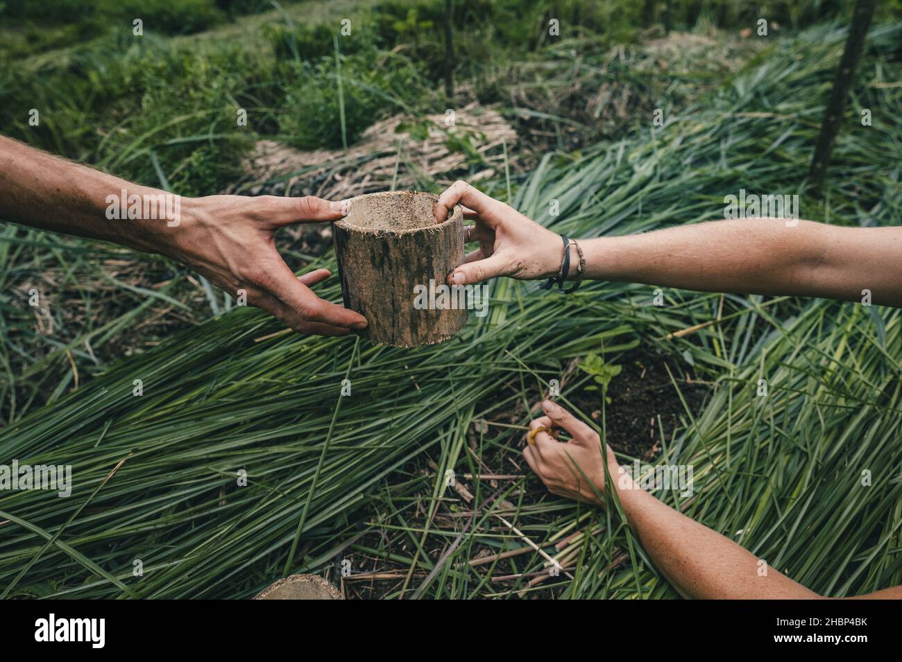 The workers handing a pot to each other in the plantation field Stock