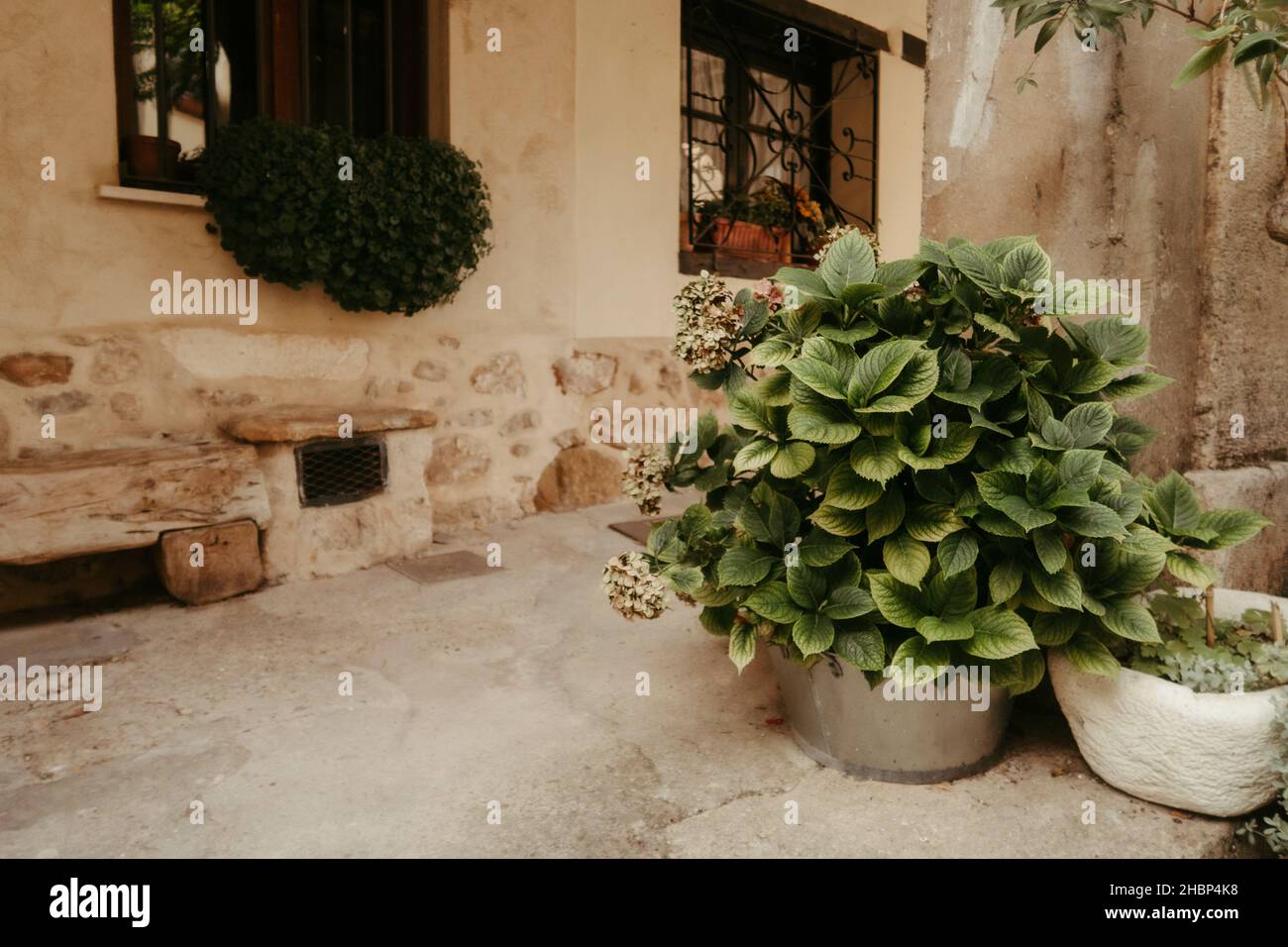 A beautiful stone house patio design with a potted plant Stock Photo ...