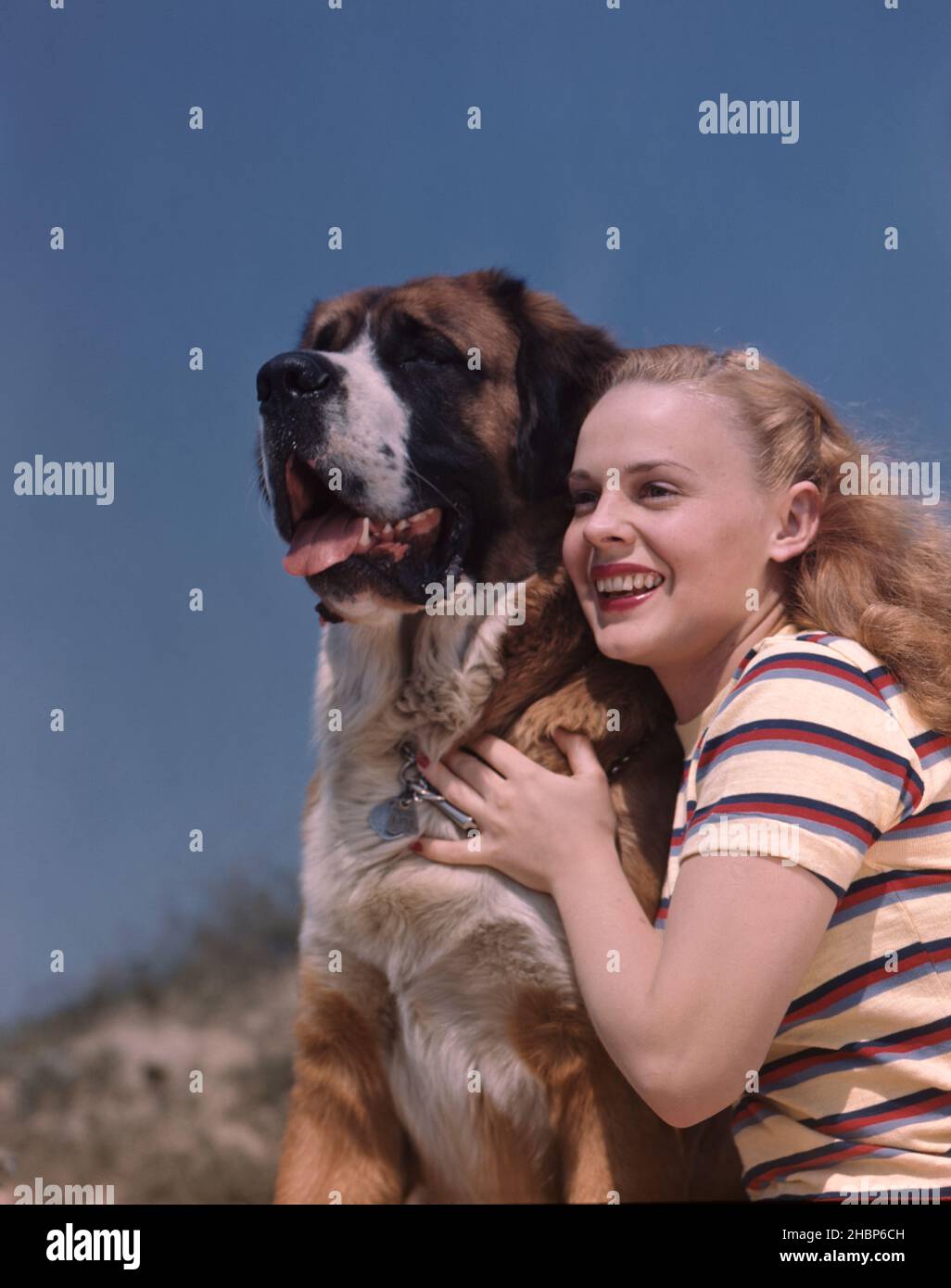 Blonde teen girl in striped blouse with arms around her St. Bernard dog staring out Stock Photo