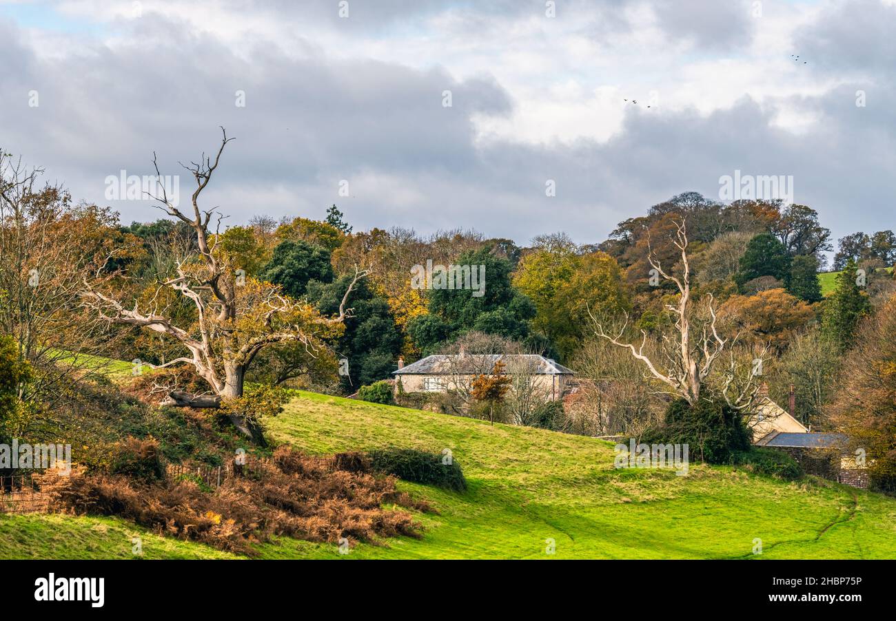 Top down panorama over Ugbrooke House and Gardens from a drone in the