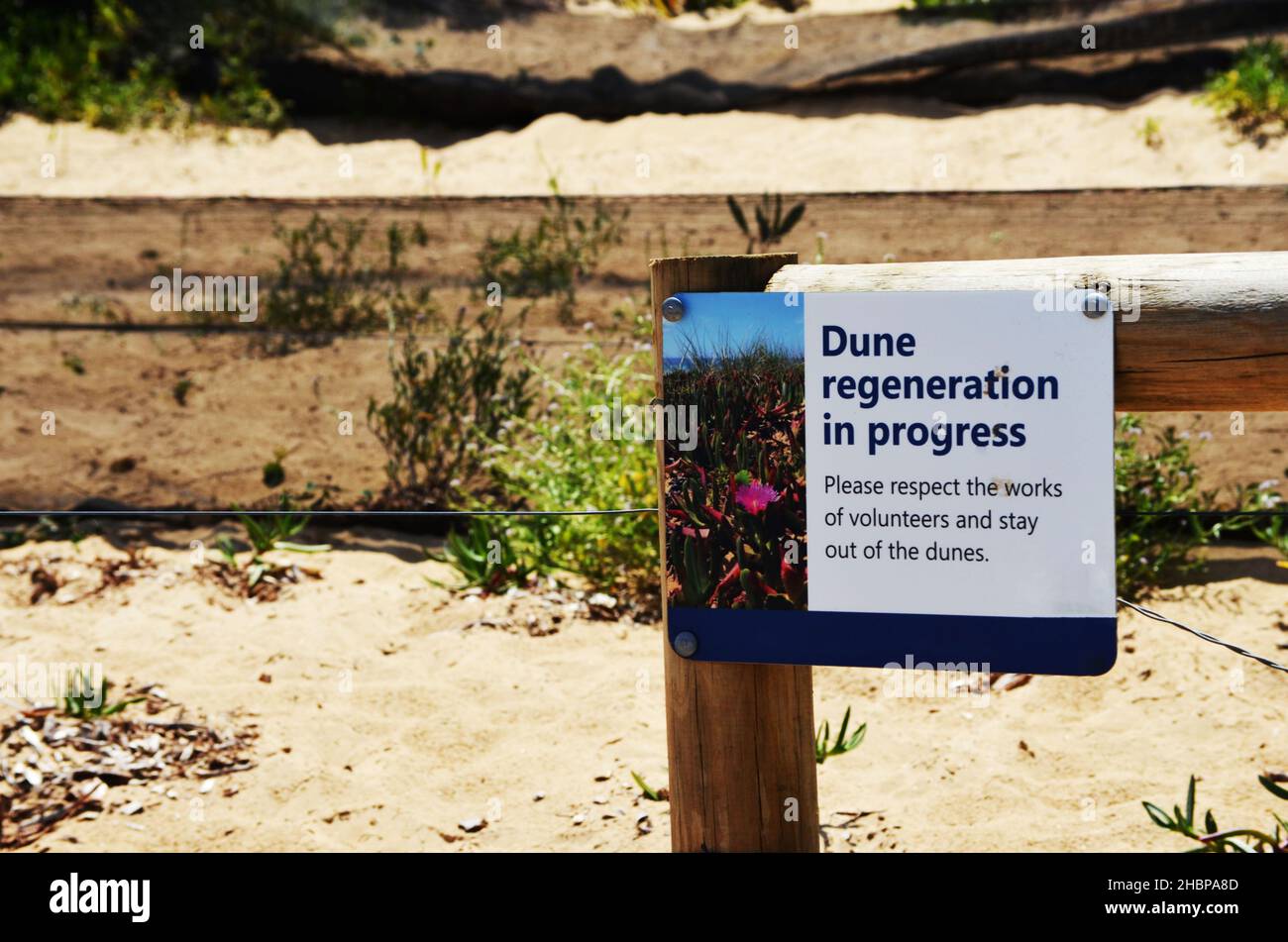 Sand dune regeneration sign after beach erosion Stock Photo