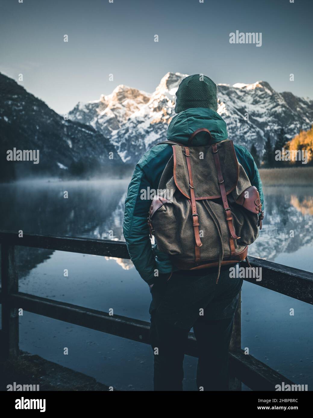 Mountain lake with young tree hi-res stock photography and images - Alamy