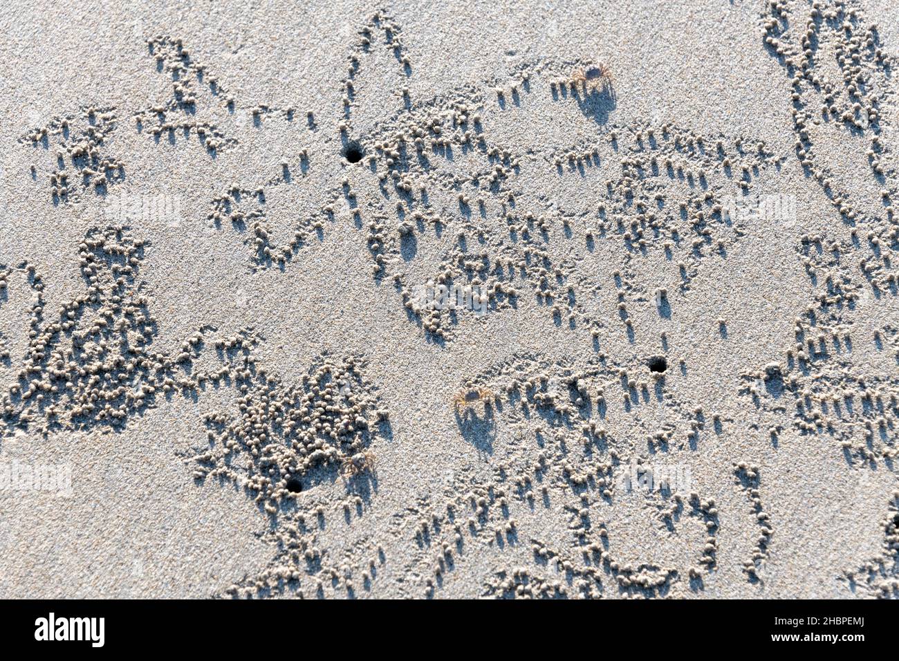 Patterns in a white beach made by sand or ghost crabs Stock Photo