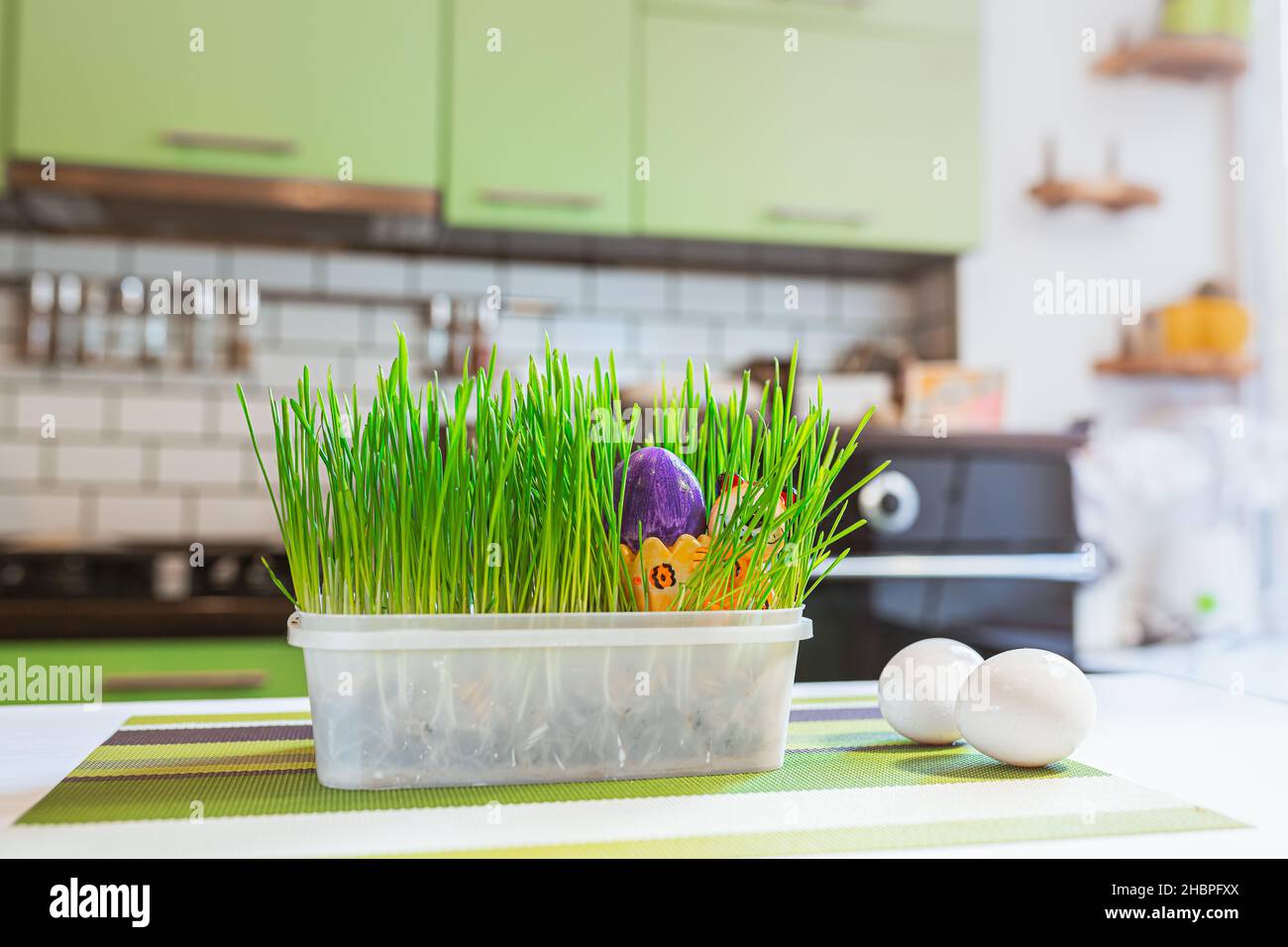Easter egg painted with bright paint in flowerpot with grass on blurred background of kitchen interior. Homemade, fun find easter egg Stock Photo