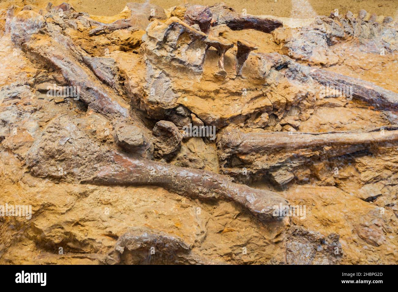 Badlands National Park Dinosaurs