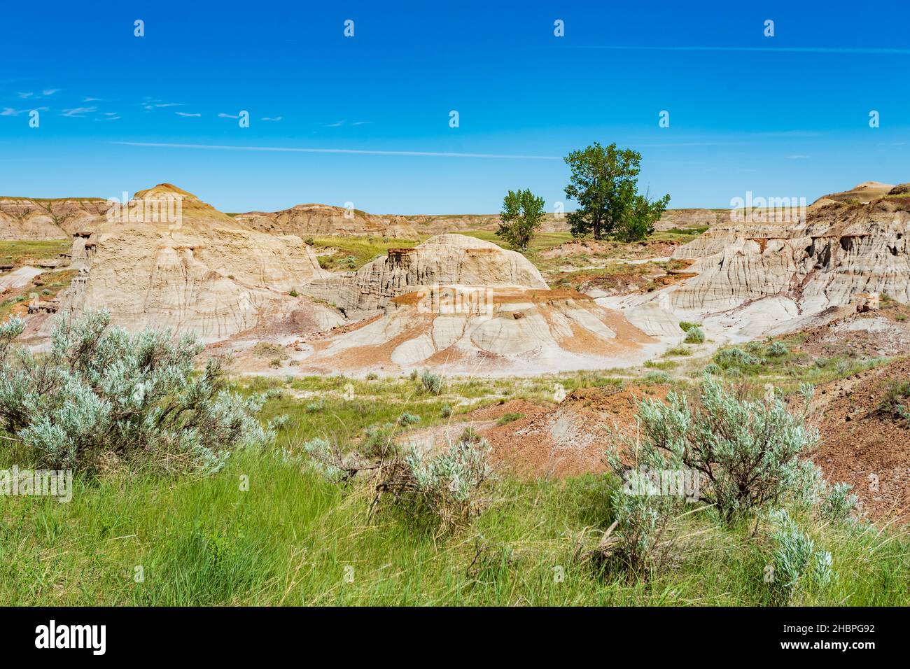 Scenic Dinosaur Provincial Park in the arid badlands of Alberta Canada in the heat of summer. Stock Photo