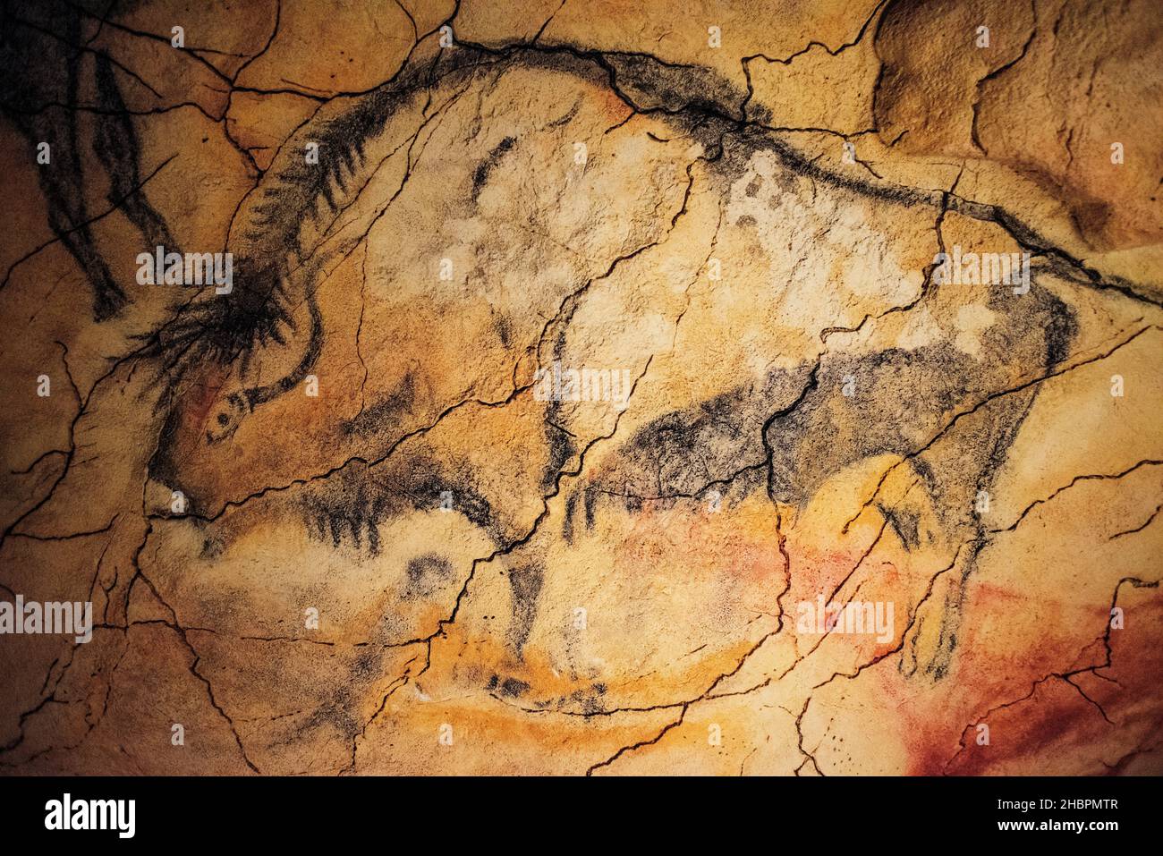 The Altamira Caves, Cantabria. Spanish rock art. It is the highest representation of cave painting in Spain. National Museum and Research Center of Al Stock Photo