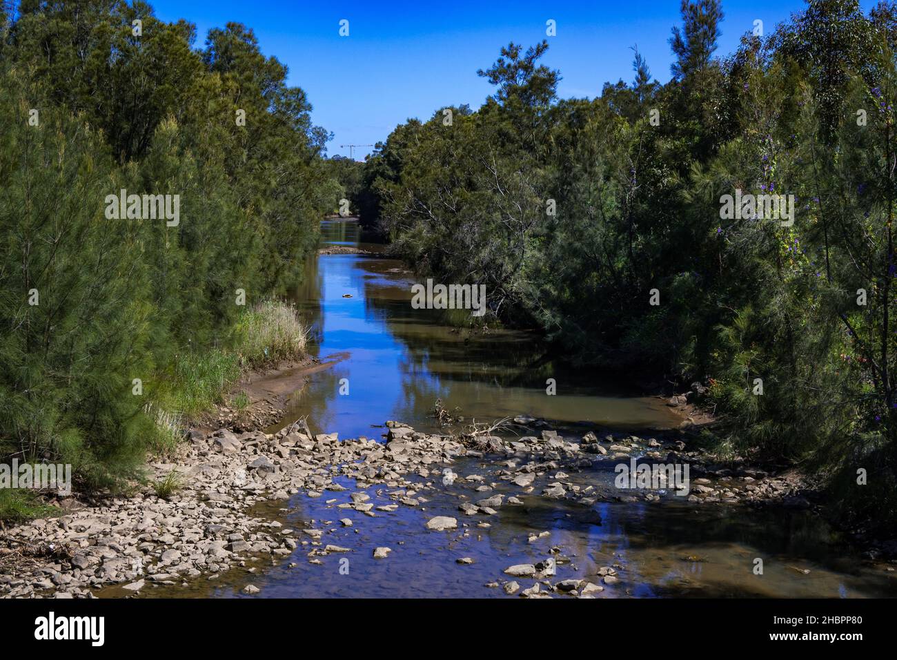 Cabbage Tree Creek Wollongong Stock Photo Alamy