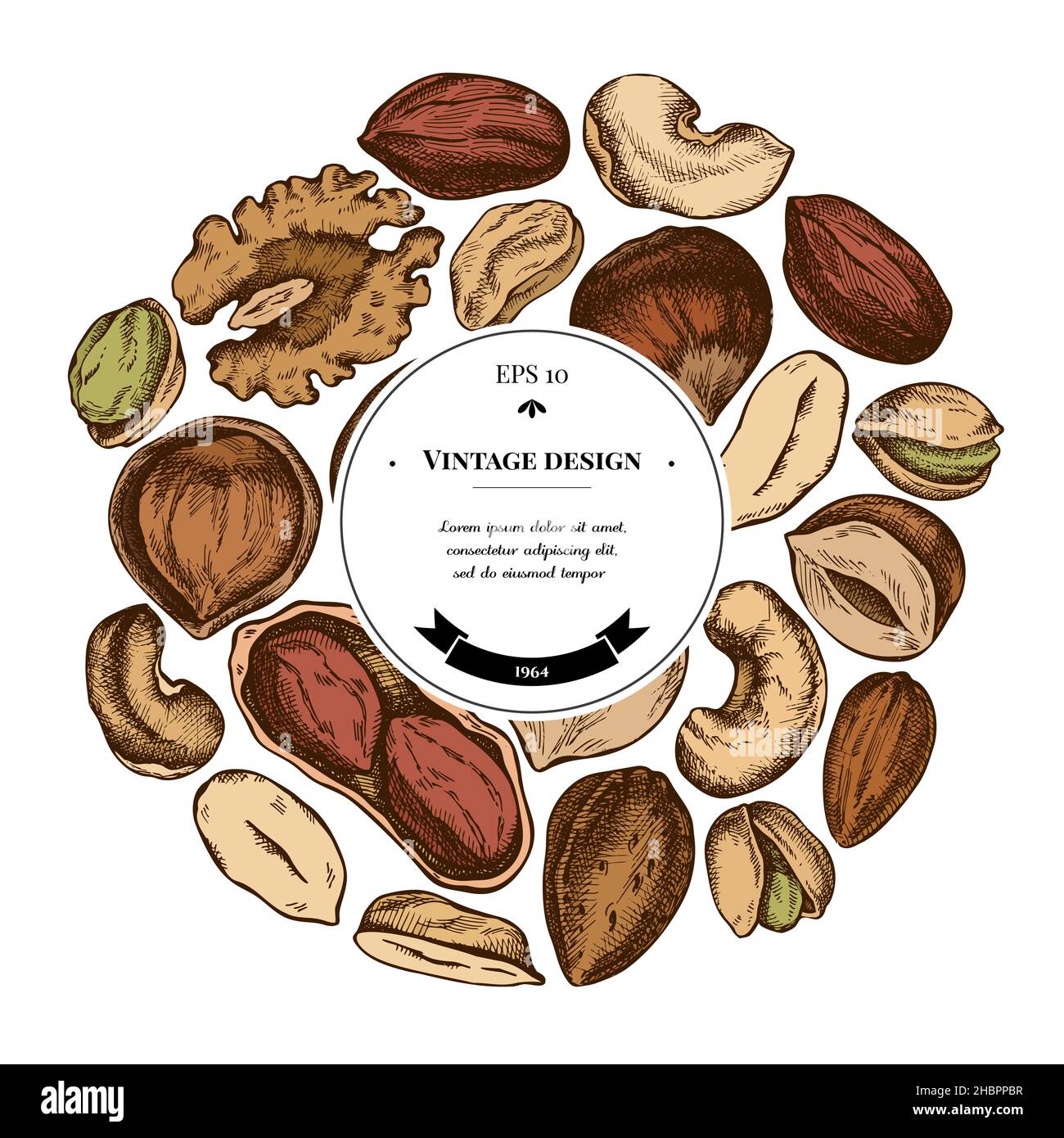 Round design with colored cashew, peanut, pistachio, hazelnut, almond, walnut Stock Vector