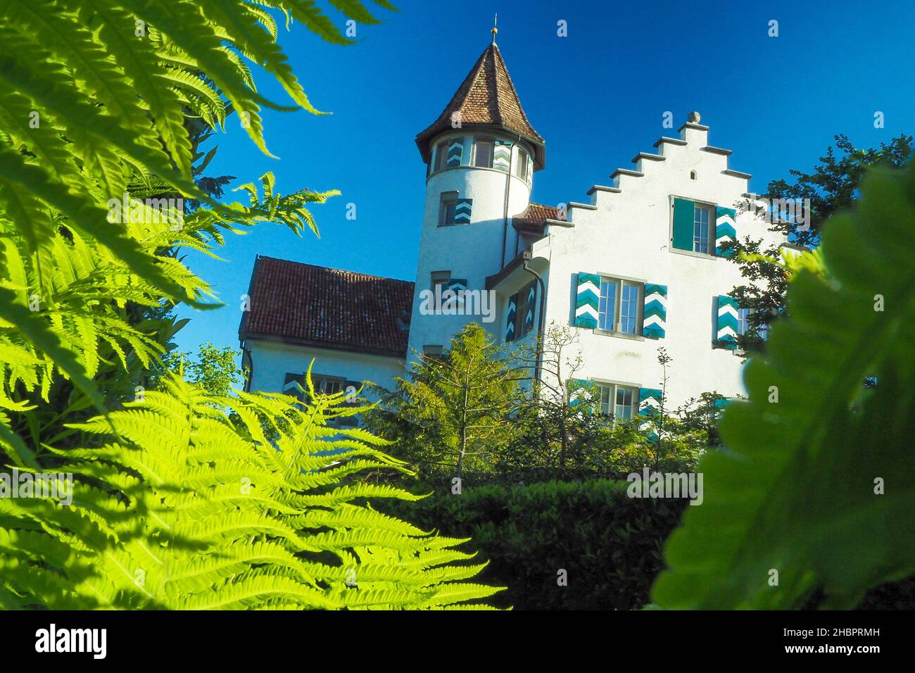 Schloss Wiggen bei Rorschach Stock Photo