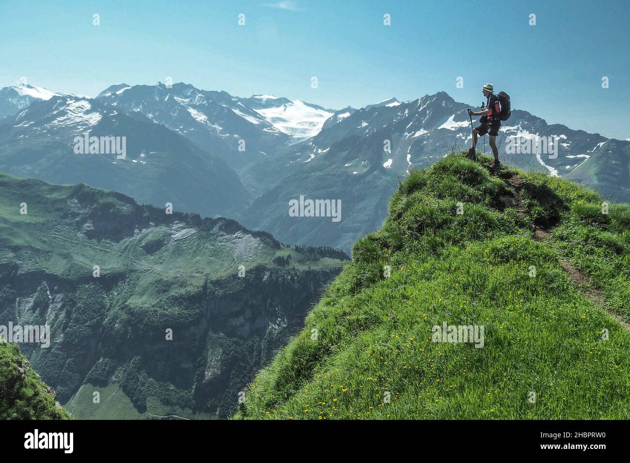 Blick zum Triftgletscher Stock Photo