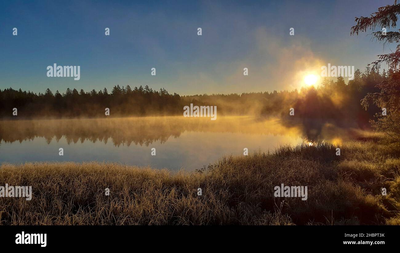 Etang de la Gruere im Morgenlicht Stock Photo