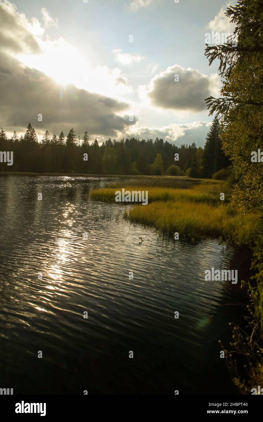 Etang de la Gruere im Morgenlicht Stock Photo