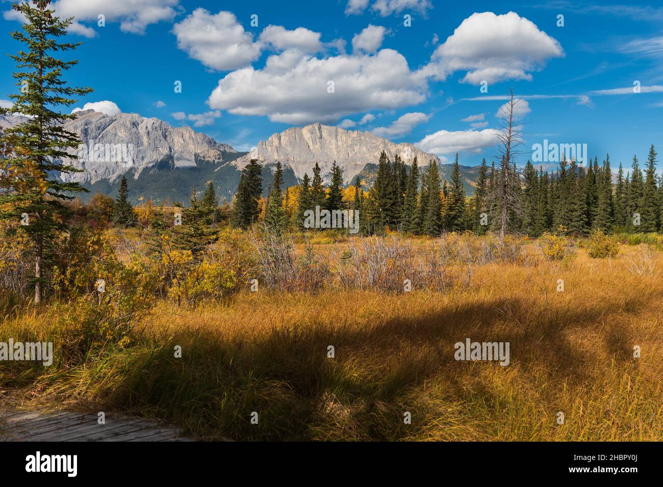 Fall landscapes in the foothills of the canadian rocky mountains Stock Photo