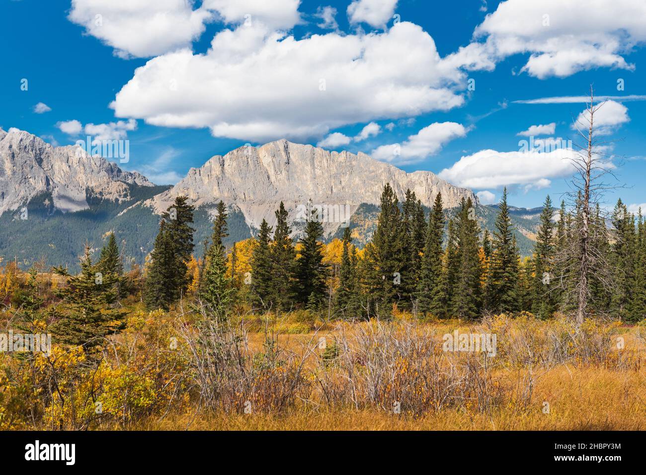 Fall landscapes in the foothills of the canadian rocky mountains Stock Photo