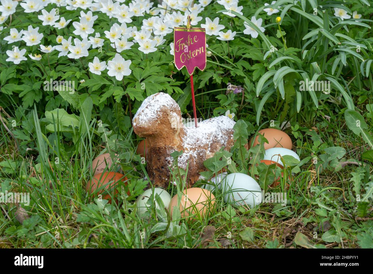 Ostereier mit dem Osterlamm in der Blumenwiese Stock Photo - Alamy