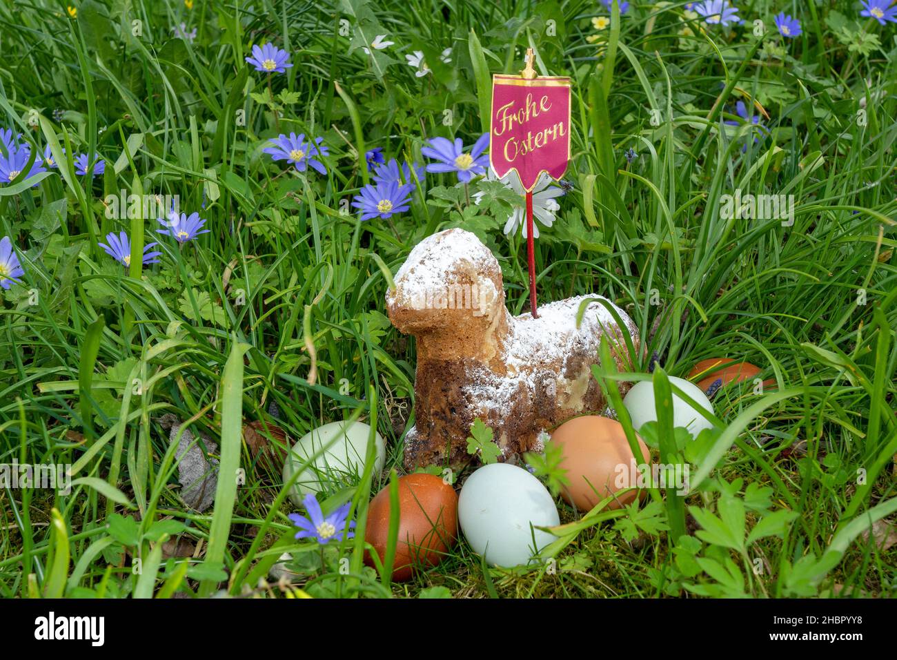 Ostereier mit dem Osterlamm in der Blumenwiese Stock Photo - Alamy