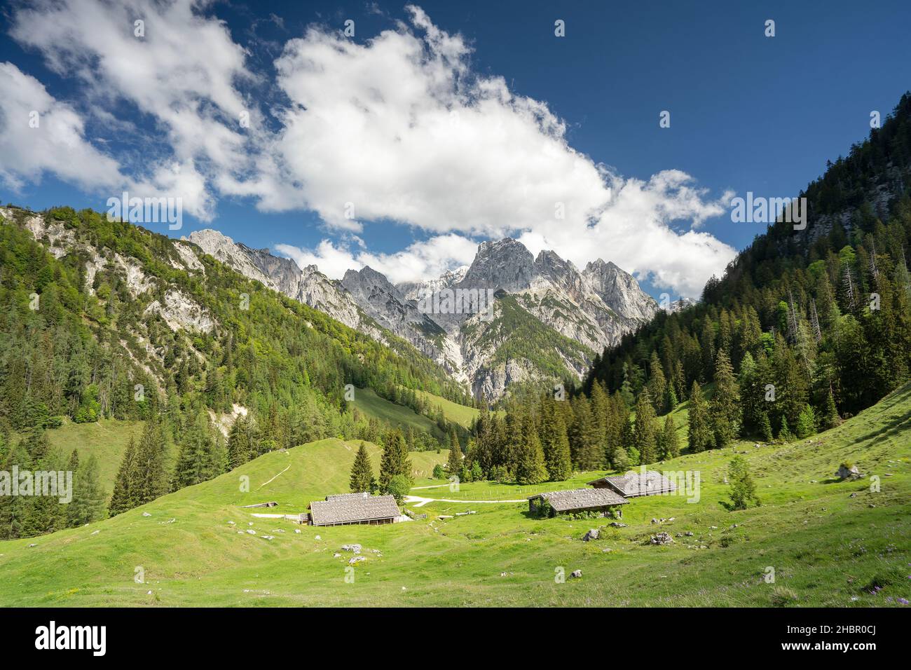 im Gebiet der Bindalm mit den Mühlsturzhörnern im Hintergrund im Nationalpark Berchtesgadenener Land, eine wunderbare Wanderung durch herrliche Almen Stock Photo