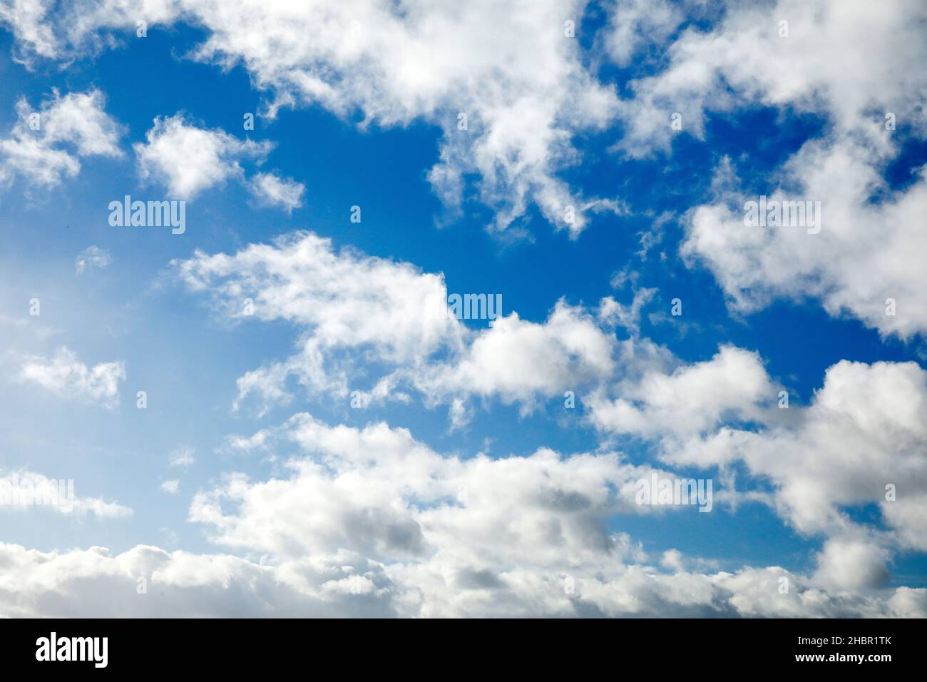 Schäfchen-. Schleier- und Haufenschichtwolken zieren bei starkem Wind den blauen Himmel Stock Photo