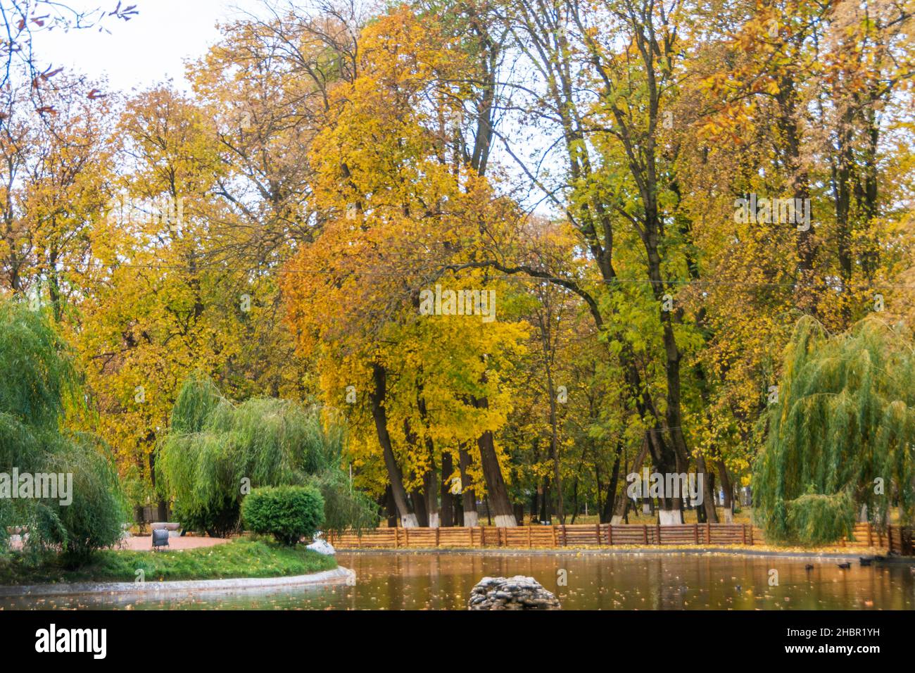 Autumn in the Roman Park with colored leaves, Romania Stock Photo
