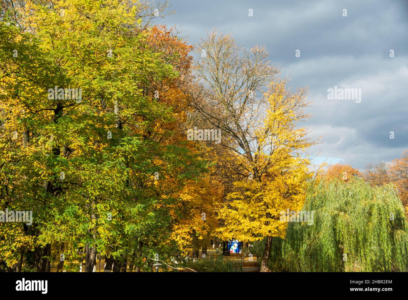 Autumn in the Roman Park with colored leaves, Romania Stock Photo