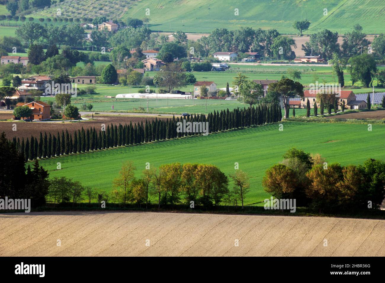 Countryside, Agricultural Estate, Corridonia, Marche, Italy, Europe Stock Photo