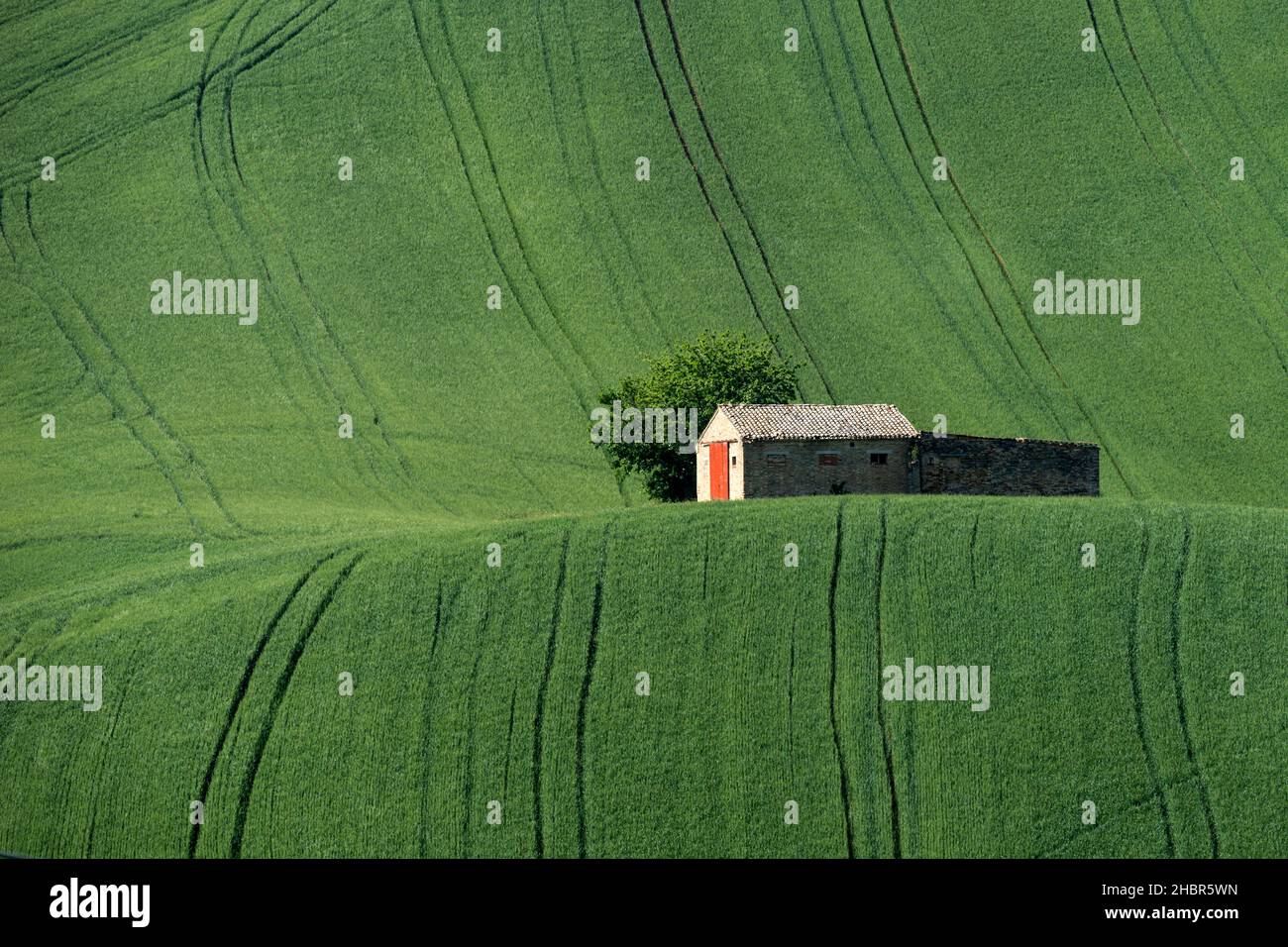 Stable in the Corridonia countryside, Marche, Italy, Europe Stock Photo