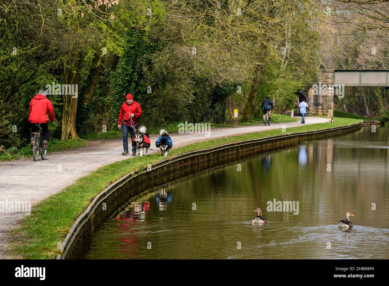Scenic urban walk & cycle ride (recreational activities, dog walkers