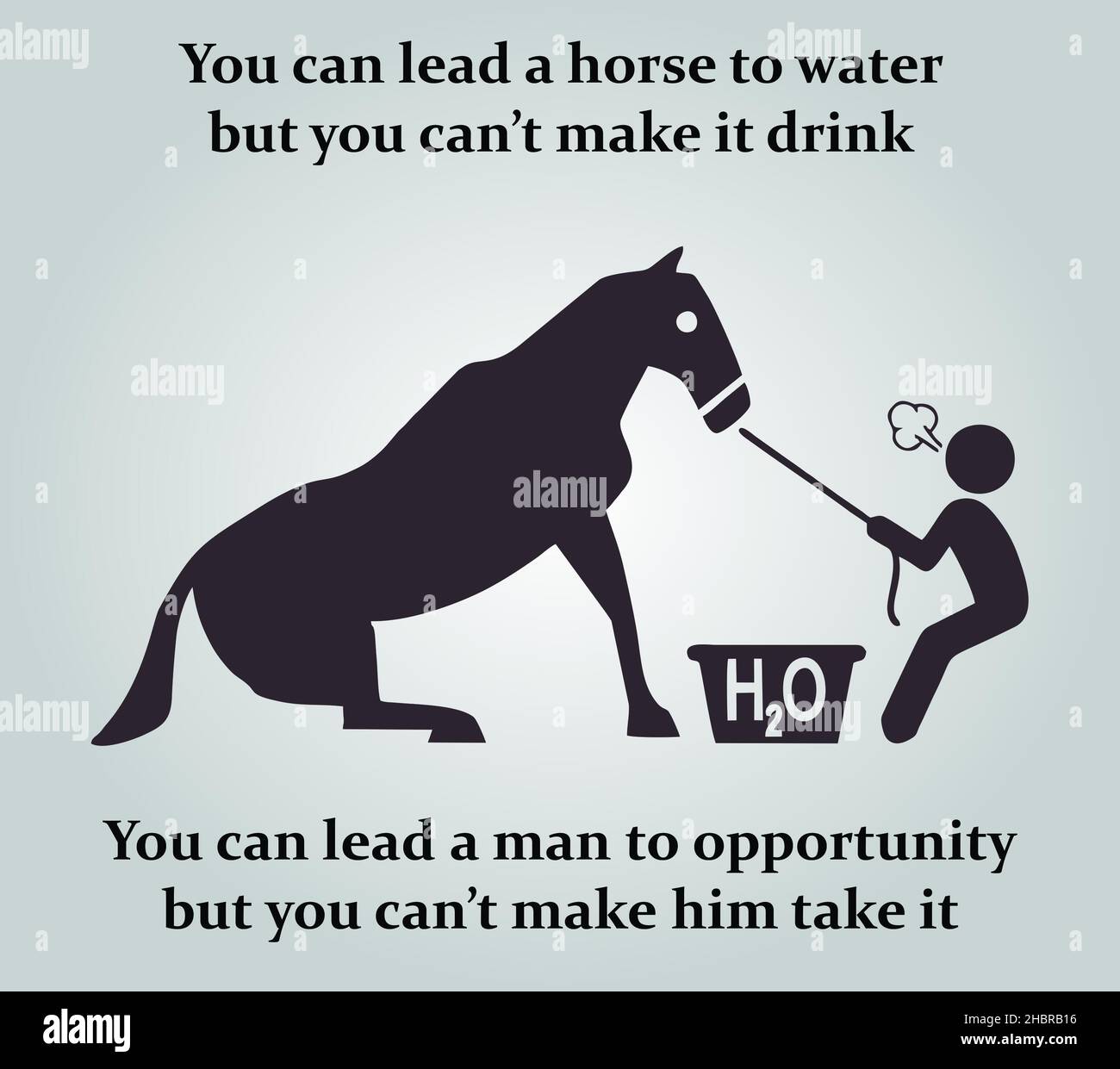 Cant force a horse to drink hires stock photography and images Alamy