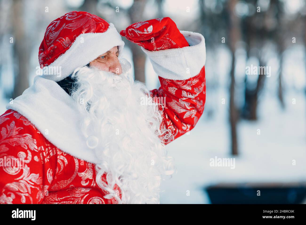 Santa Claus or Ded Moroz with long white beard looking forward in the winter forest. Stock Photo