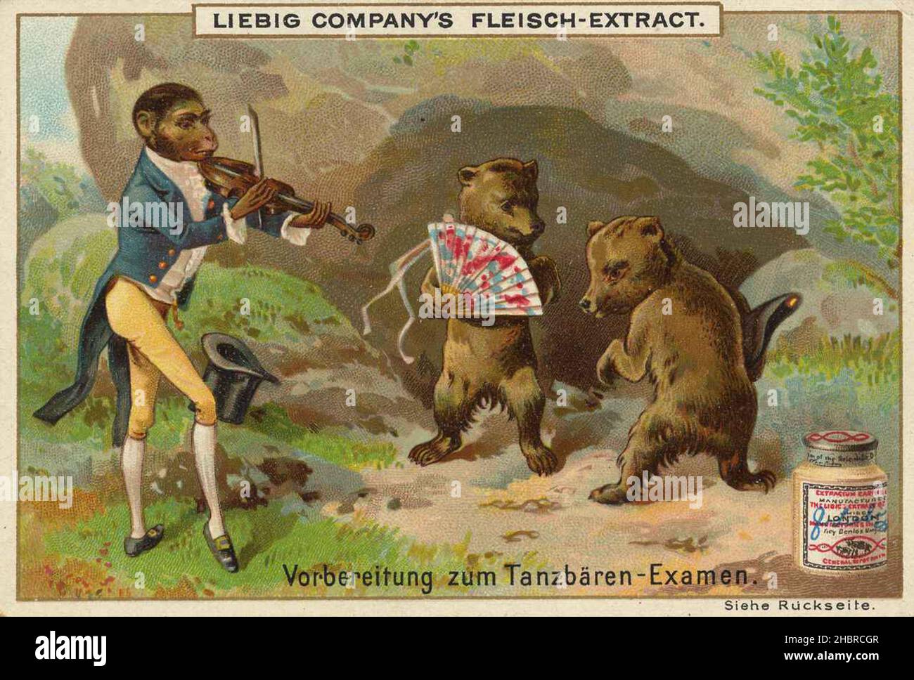 Serie lustige Tierdarstellungen, Vorbereitung zum Zanzbären Examen, dargestellt mit Affe und Bären  /  Series funny animal illustrations, preparation for Zanzbären exam, shown with monkey and bear, Liebigbild, digital improved reproduction of a collectible image from the Liebig company, estimated from 1900, pd  /  digital restaurierte Reproduktion eines Sammelbildes von ca 1900, gemeinfrei, genaues Datum unbekannt Stock Photo