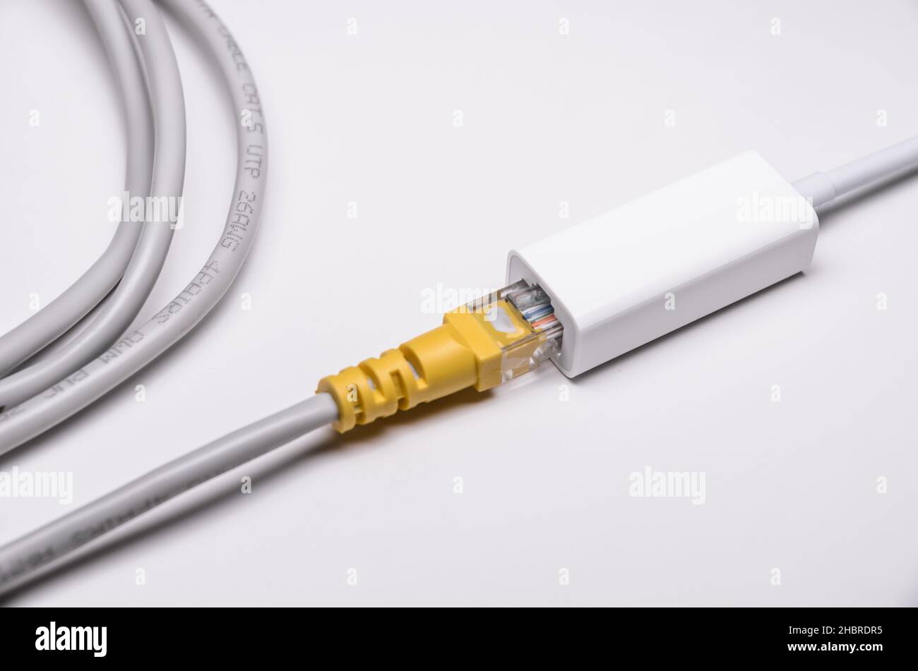 Cable connected to Adapter on white background, view from