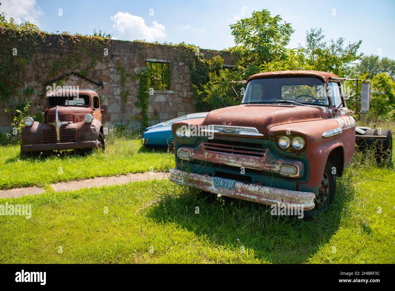 rusty abandoned 1959 Chevrolet Task Force truck and 1939 Dodge pickup truck Stock Photo