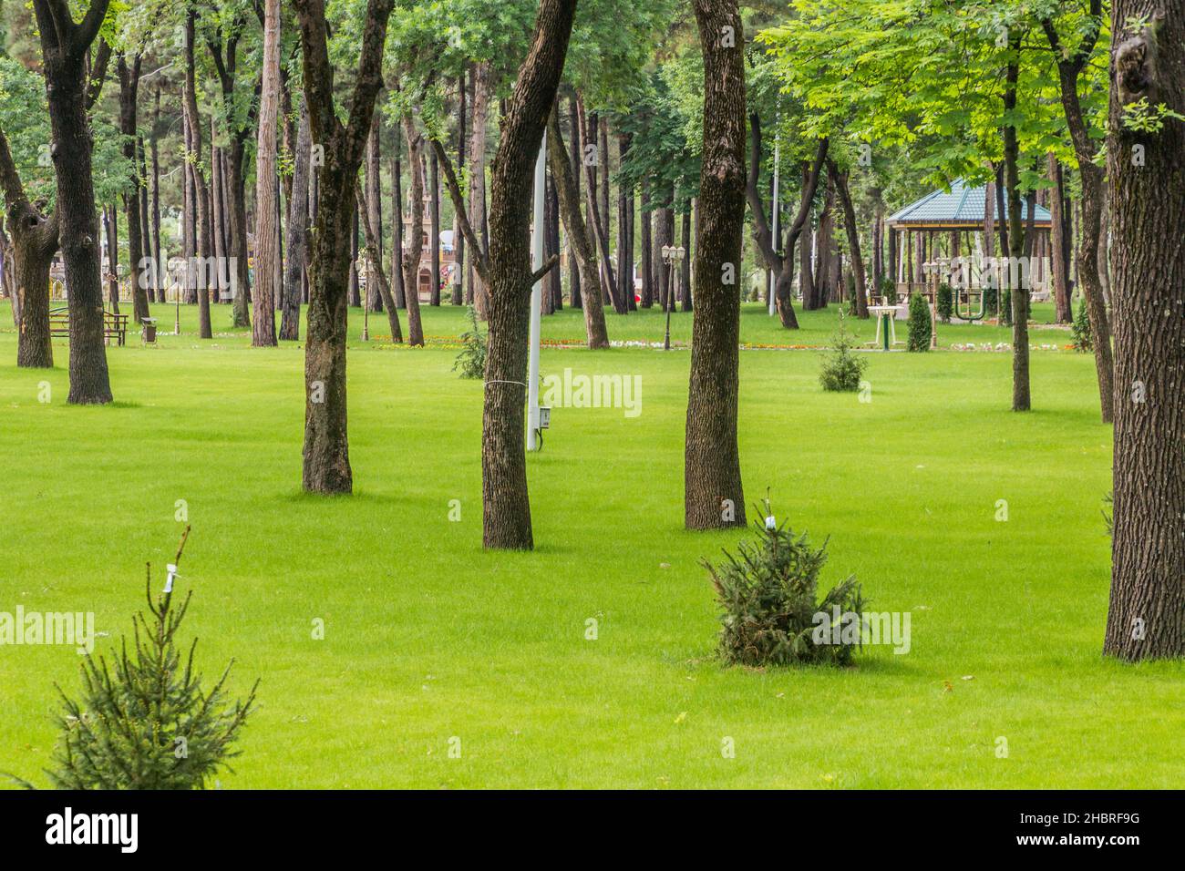 Botanical Garden in Dushanbe, capital of Tajikistan Stock Photo Alamy