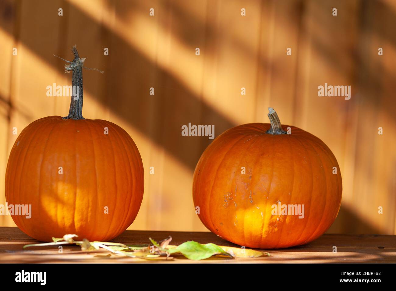 A selective focus shot of two orange pumpkins and leaves on a wooden ...
