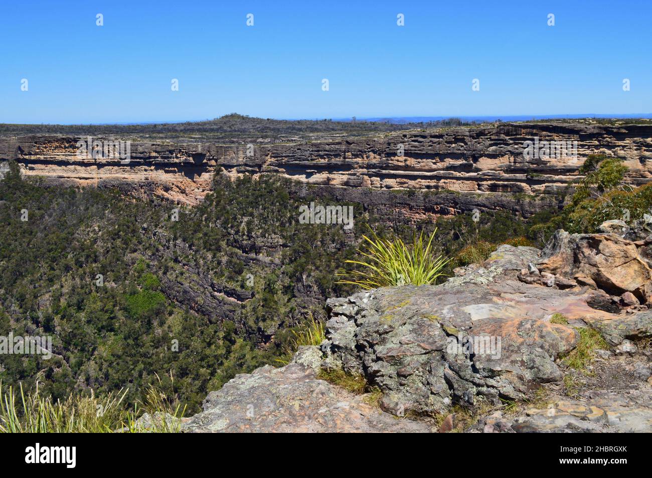 A view into the valley from Kanangra Walls, NSW Stock Photo