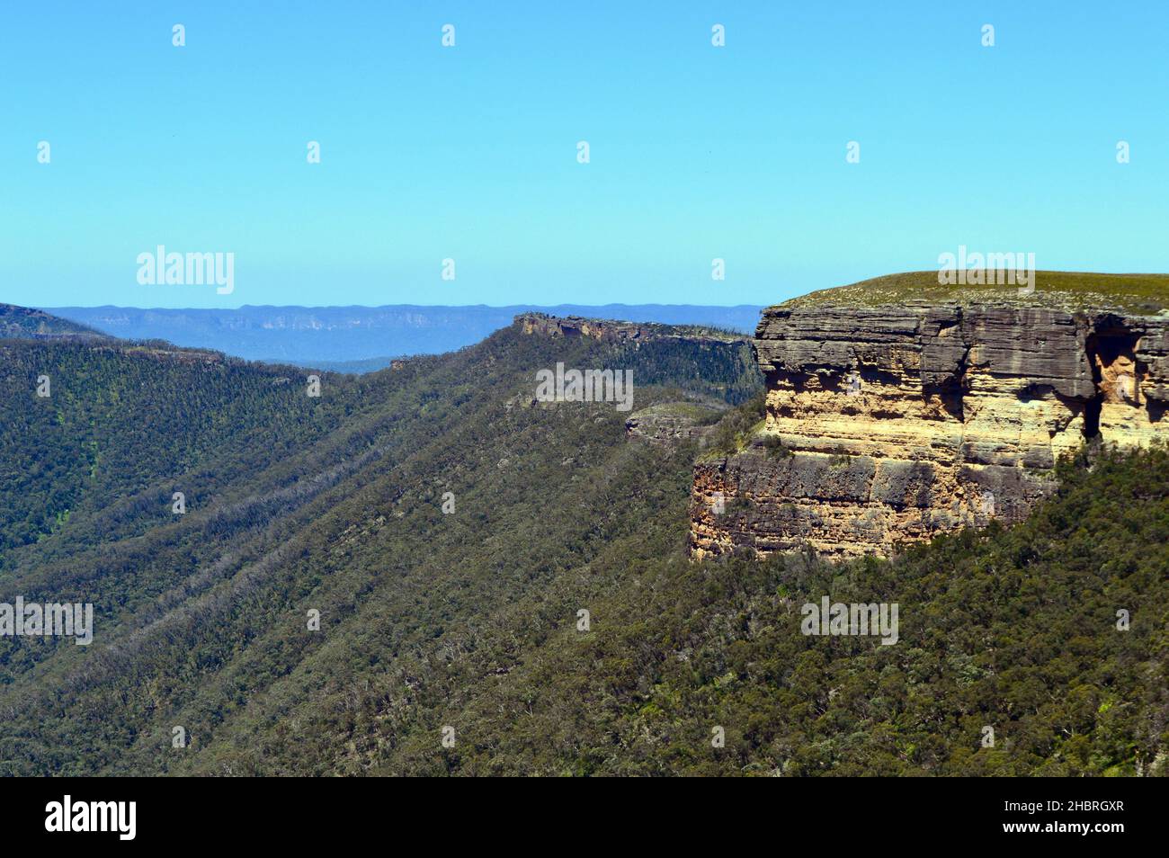 A view into the valley from Kanangra Walls, NSW Stock Photo