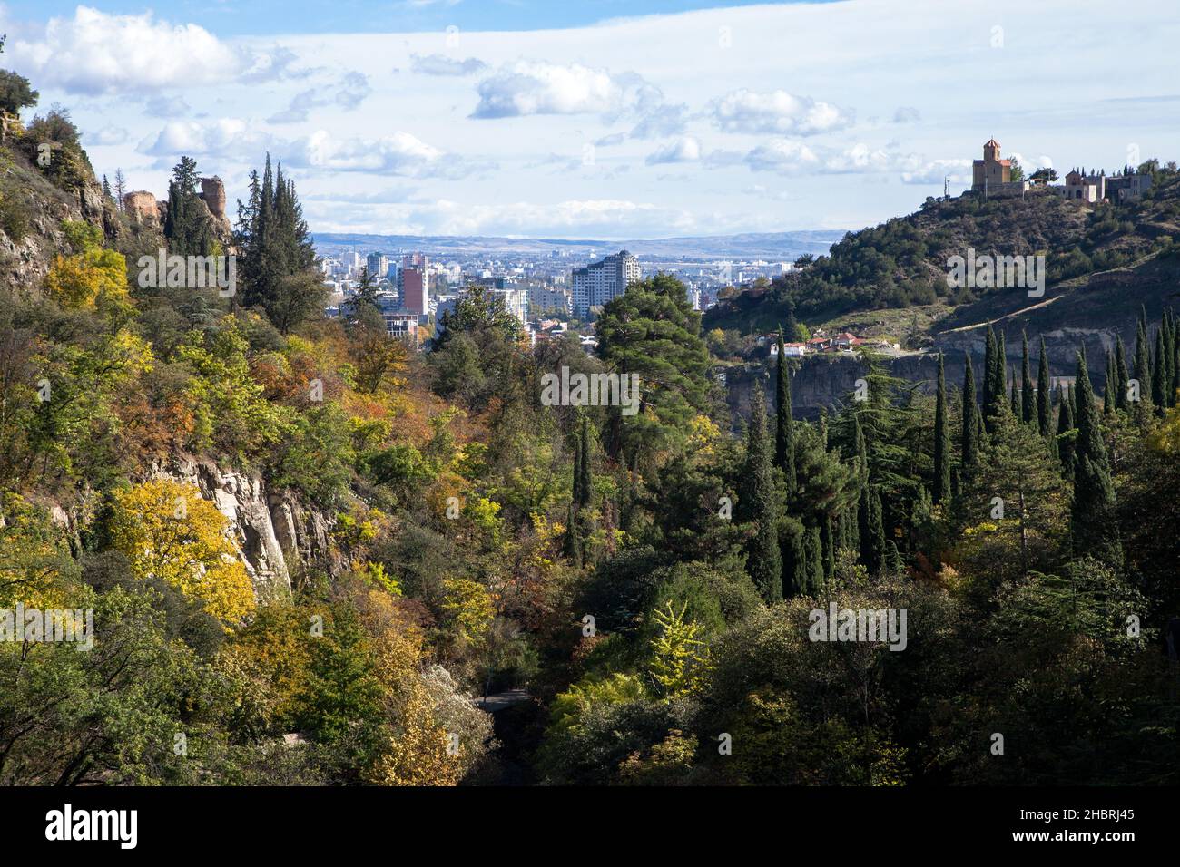 Tbilisi botanical park and cityscape Stock Photo