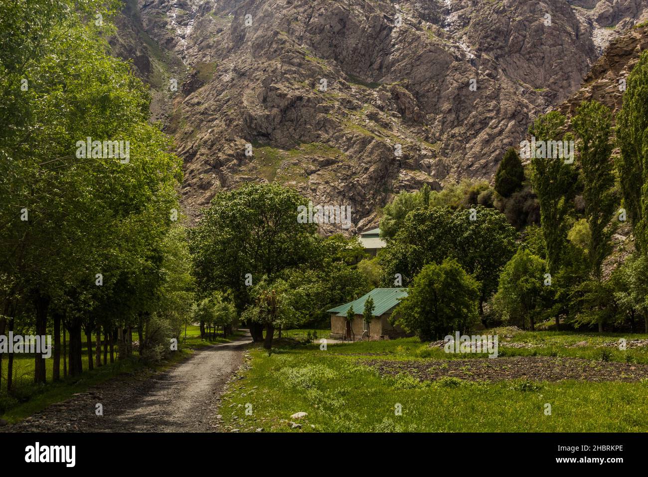 Baghu village in Bartang valley in Pamir mountains, Tajikistan Stock ...