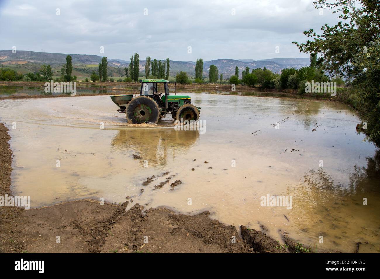 Ankara,Turkey - 05-13-2016:Tractor driving in paddy field, cloudy sky Stock Photo