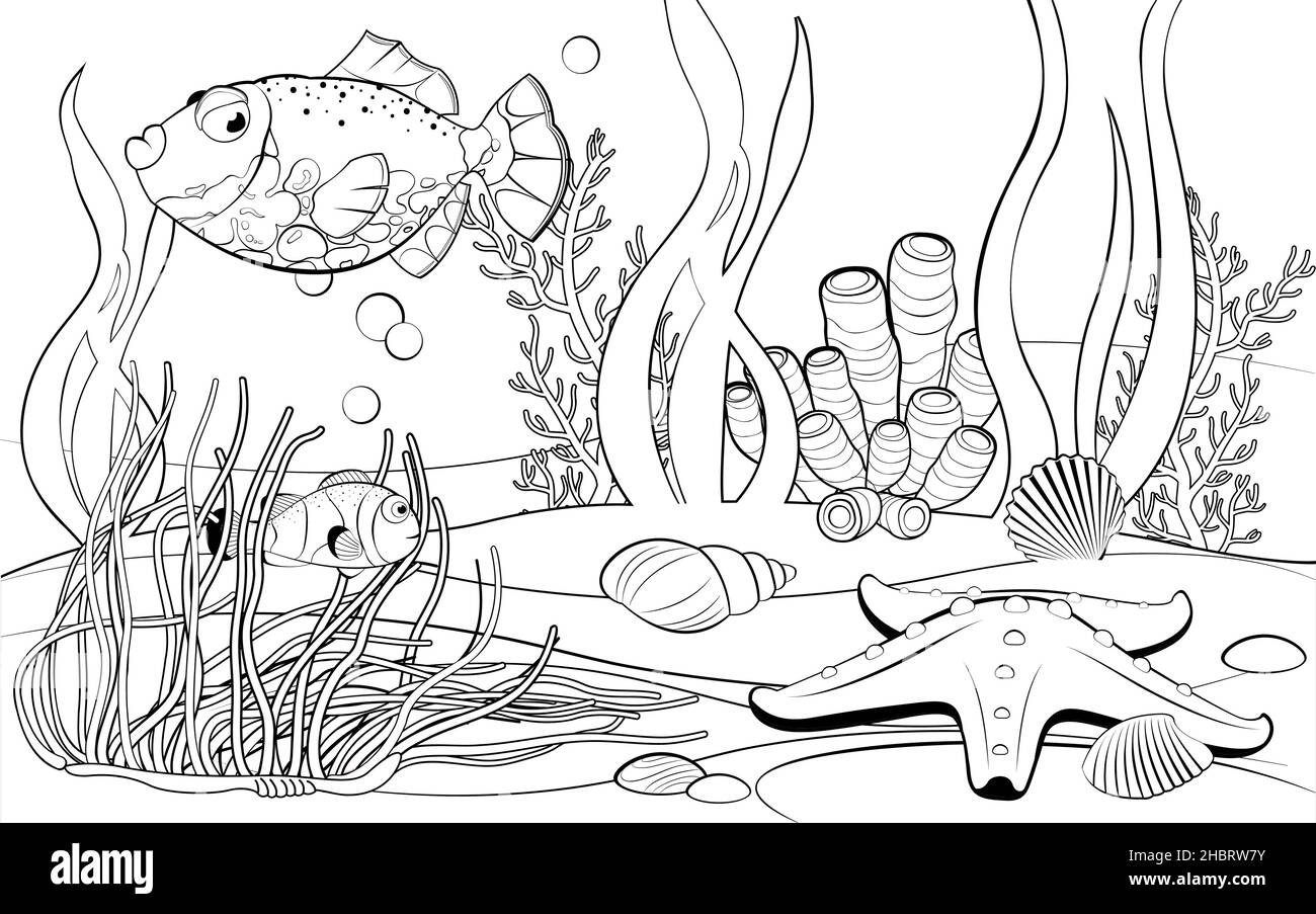 How to Draw an Underwater Scenehow to Draw an Underwater Scene  DrawingNow